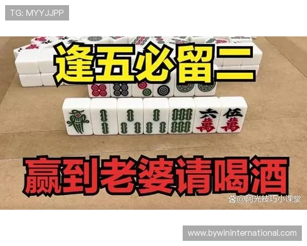 推对子玩法规则详解及实用技巧帮助玩家轻松掌握游戏策略